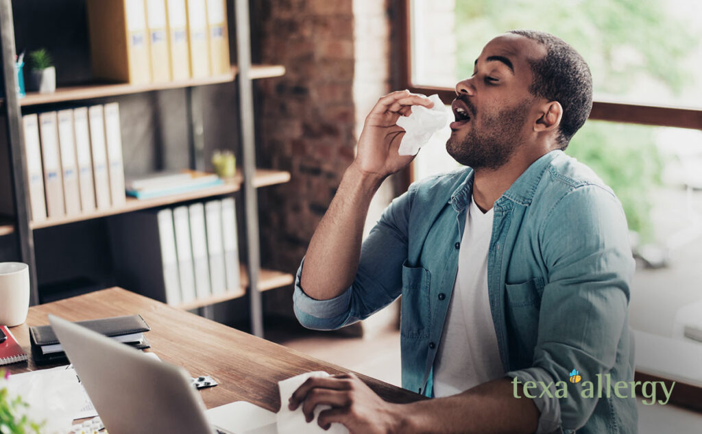 man about to sneez at his desk, with a tissue in his hand. with the texa Allergy logo in the bottom right corner.