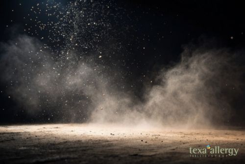 Dust particles blowing off the ground, with the Texa Allergy Logo in the bottom right corner.
